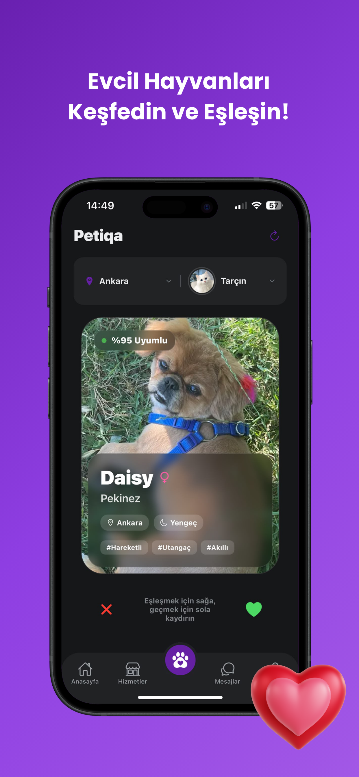 Petiqa screenshot 2
