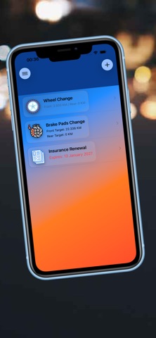 Car Alert Manager screenshot