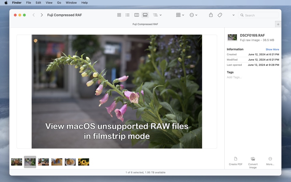 #3. Camera RawX (macOS) 来自: Anogeissus Limited