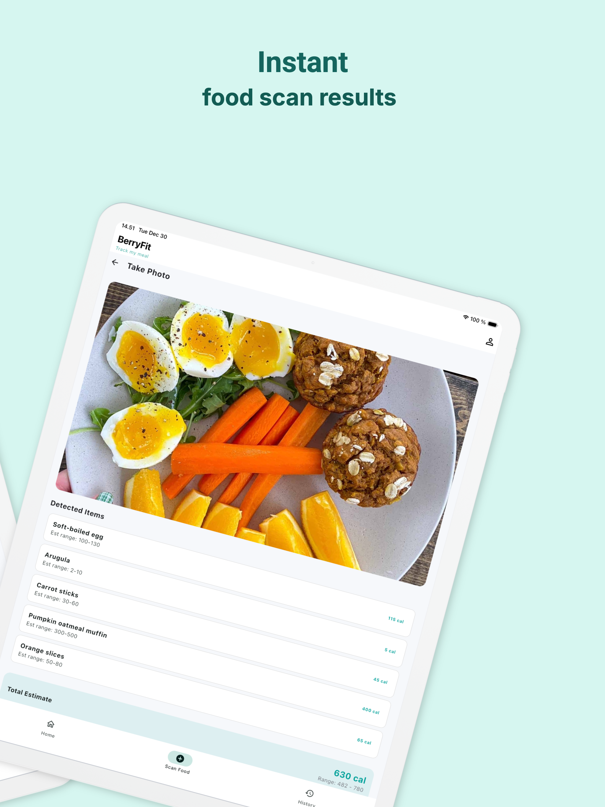 BerryFit - AI Food & Calories