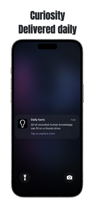 Stacky: Daily Micro Learning Screenshot 5 of 6
