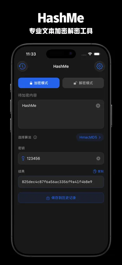 HashMe - 专业文本加密解密工具 screenshot 2
