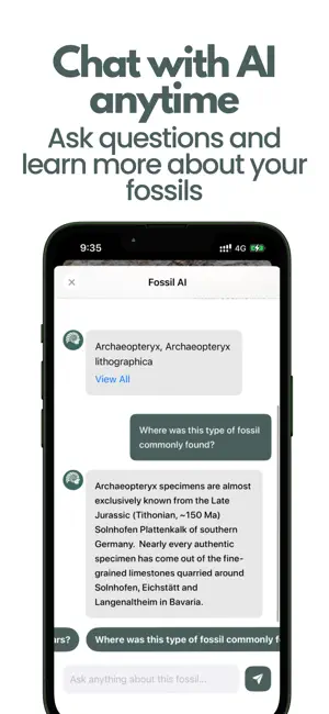 Fossil Identifier: Fossil ID screenshot 2