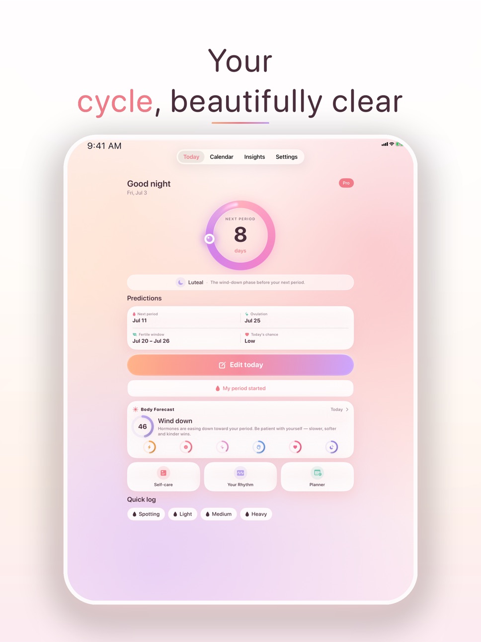 iPad screenshot