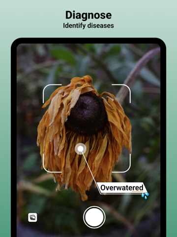 Jungle: Plant Identifier, Care iPad screenshot