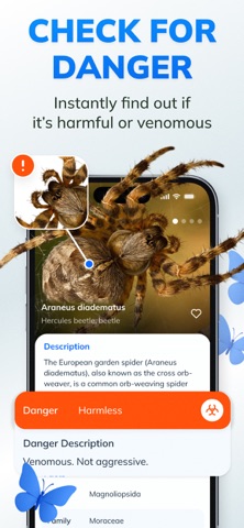 Insect Identifier - BugFlow Screenshot 3 of 4
