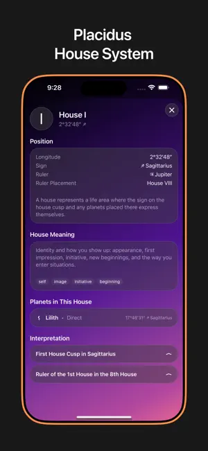 Natal Chart – Placidus screenshot 3