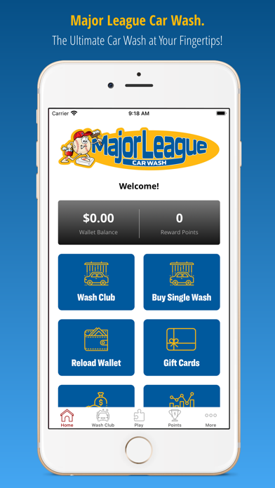 Major League Car Wash Screenshot
