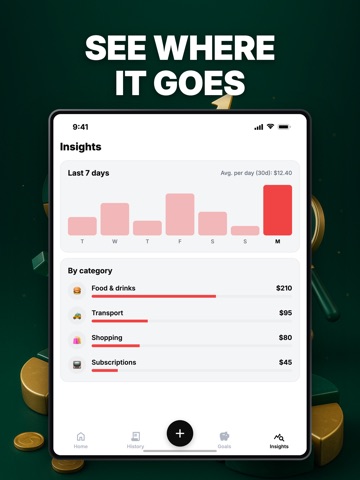 Finora: Money Tracker & Budget iPad screenshot