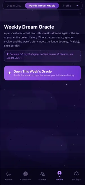 Dreamer's Journal screenshot 2