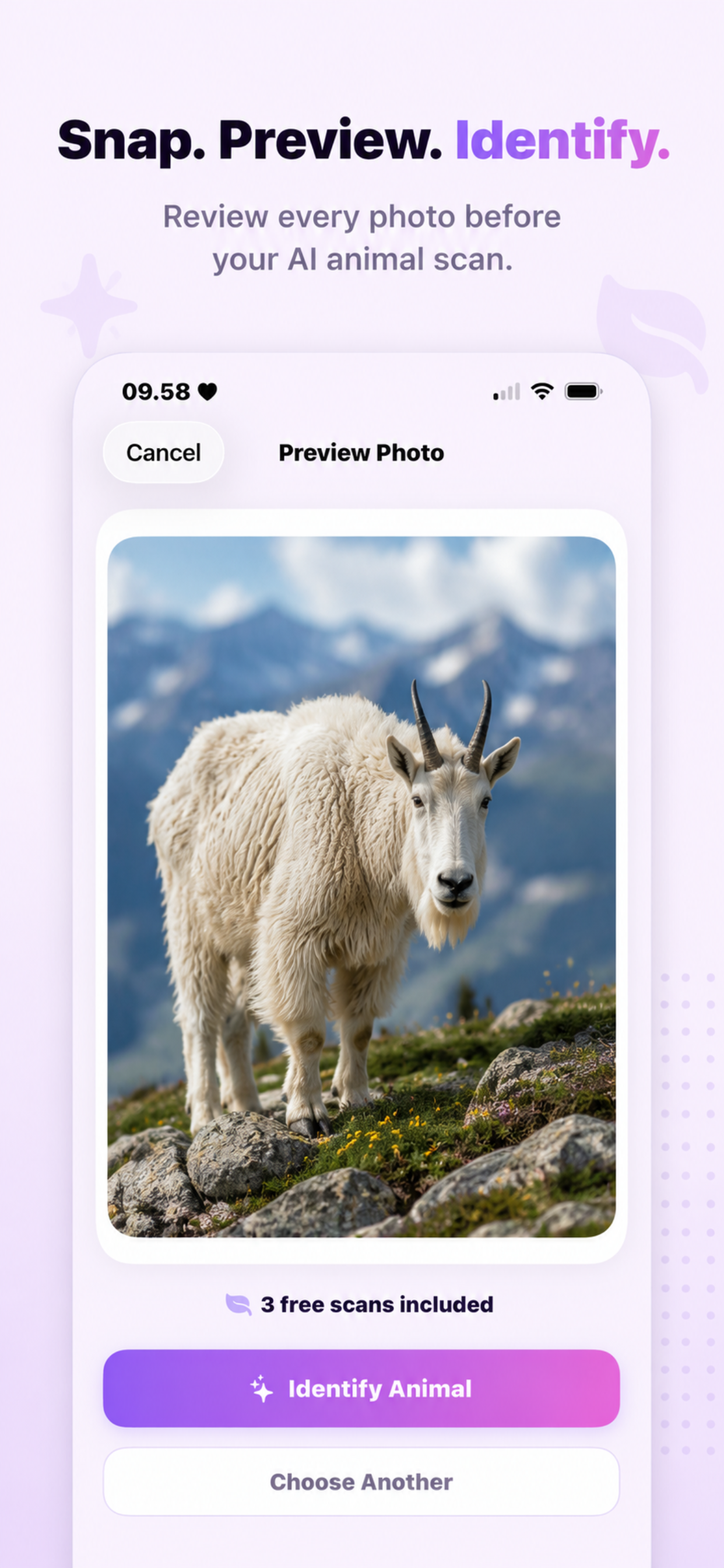 Animal Identifier: AniSnap screenshot 4