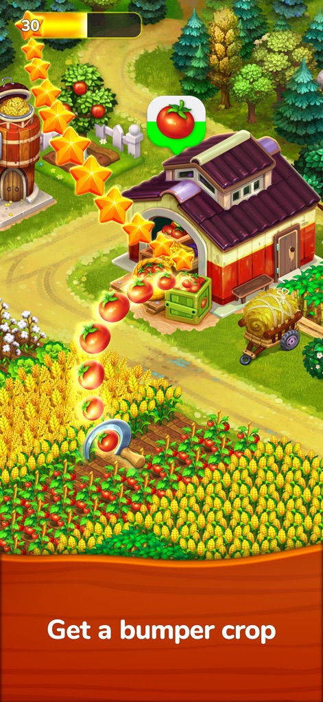Farmington – Farm game - Witness the satisfying process of harvesting a bumper crop of tomatoes, contributing to the game's experience points and ensuring a steady supply of goods from lush fields.