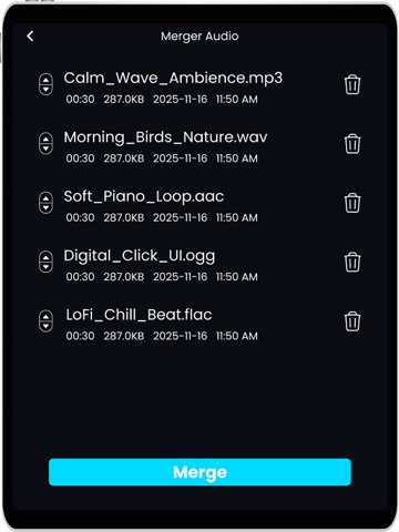 Audio Editor - Edit Mp3 Cutter iPad screenshot