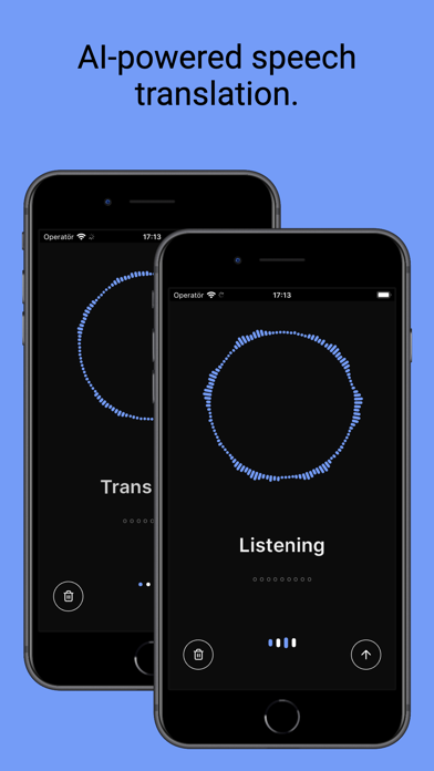 TranslitaAI Screenshot
