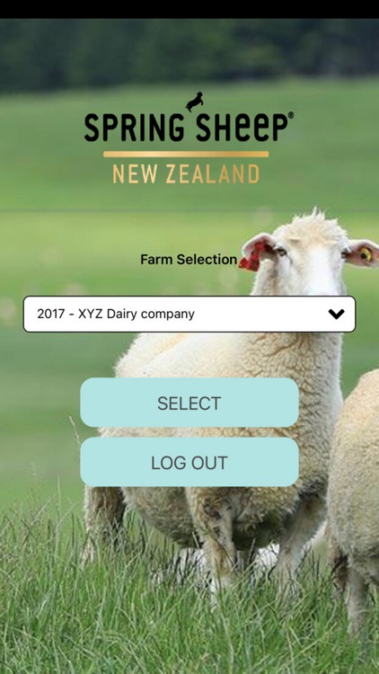 Spring Sheep Farmer Madcap