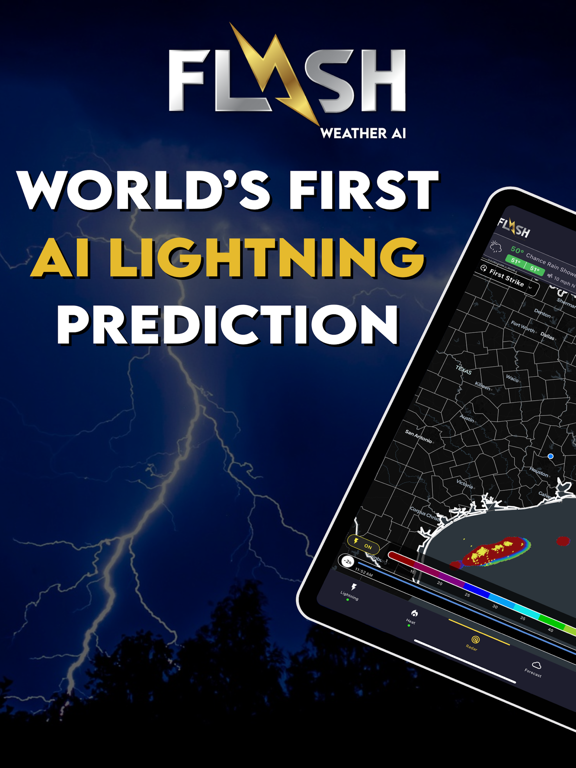 Flash Weather AI