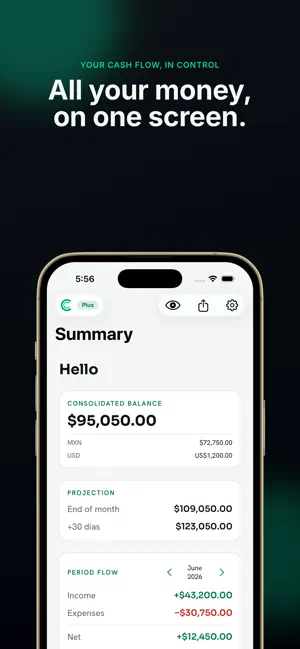 Caudara: Cash Flow screenshot 1