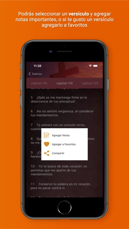 Biblia Católica Hablada Audio screenshot-6