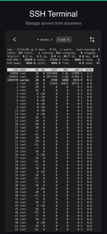 SaiTerm screenshot