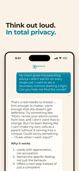 Private.ai screenshot 3