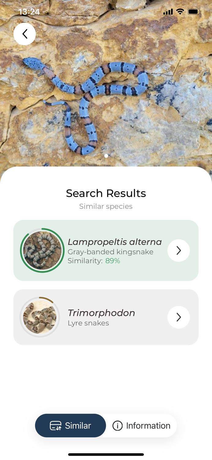 Snake name - identify snakes