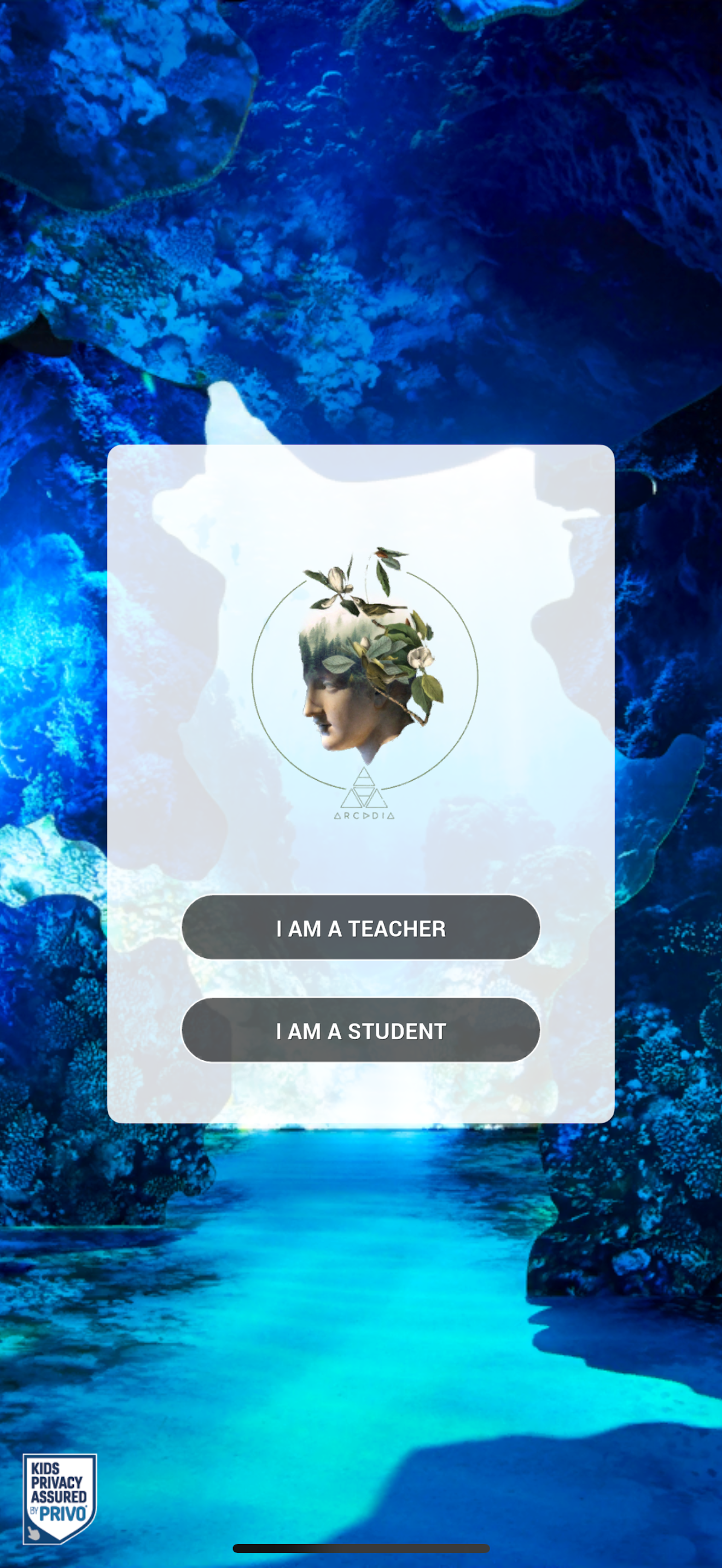 Arcadia Earth EDU screenshot 4