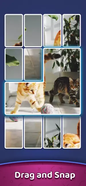 JigLive: Video Jigsaw Puzzle screenshot 2