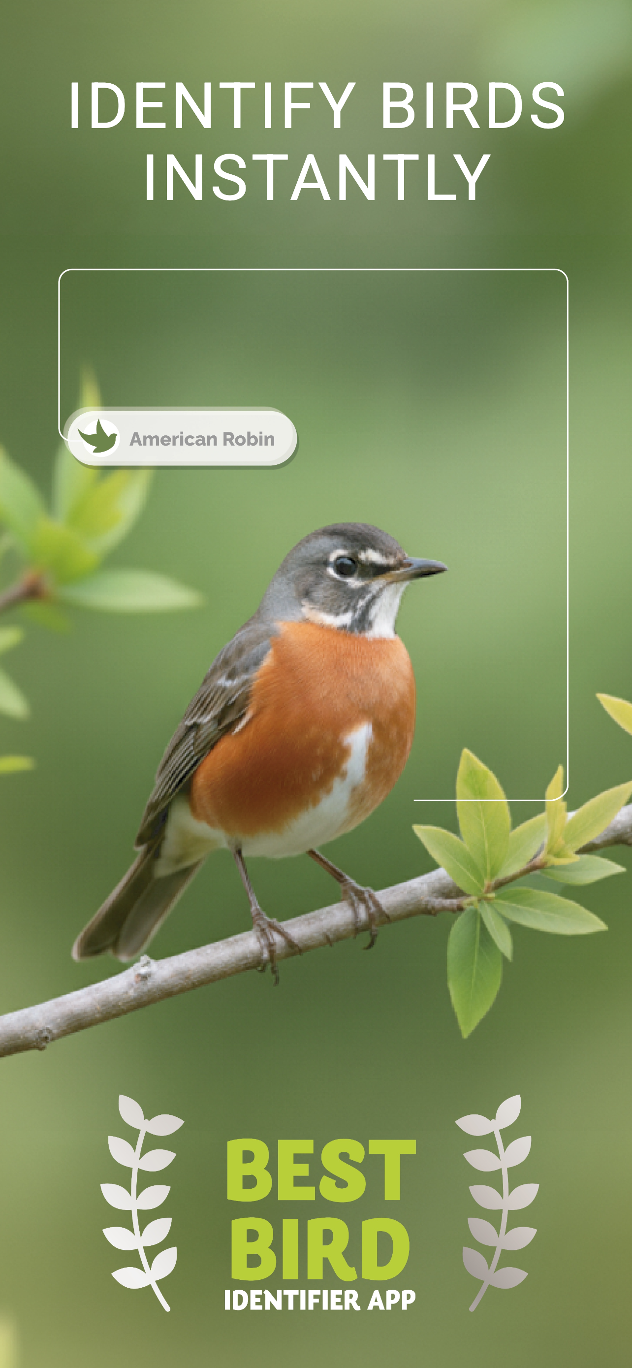 Bird Identifier: Sound & ID