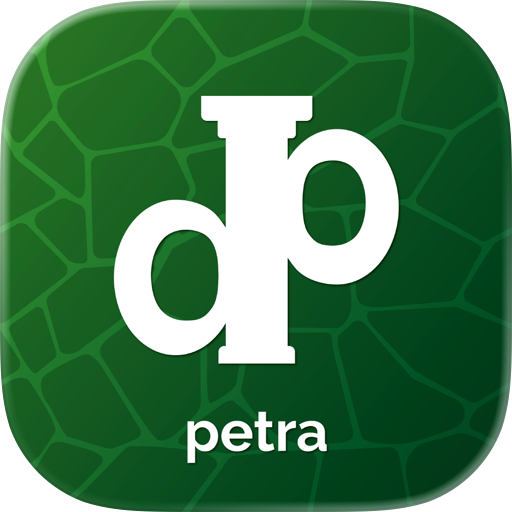 Discover Petra