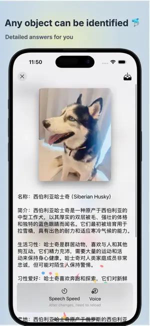 Viewly AI - Image recognition screenshot 3