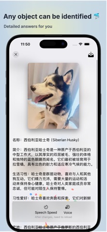 Viewly AI - Image recognition Screenshot 3 of 6
