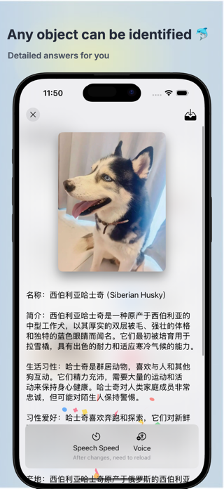 Viewly AI - Image recognition Screenshot 3 of 6