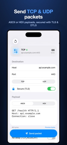 TCP & UDP Packet Sender 스크린샷 1