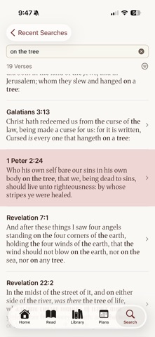 KJV Only Bible App screenshot