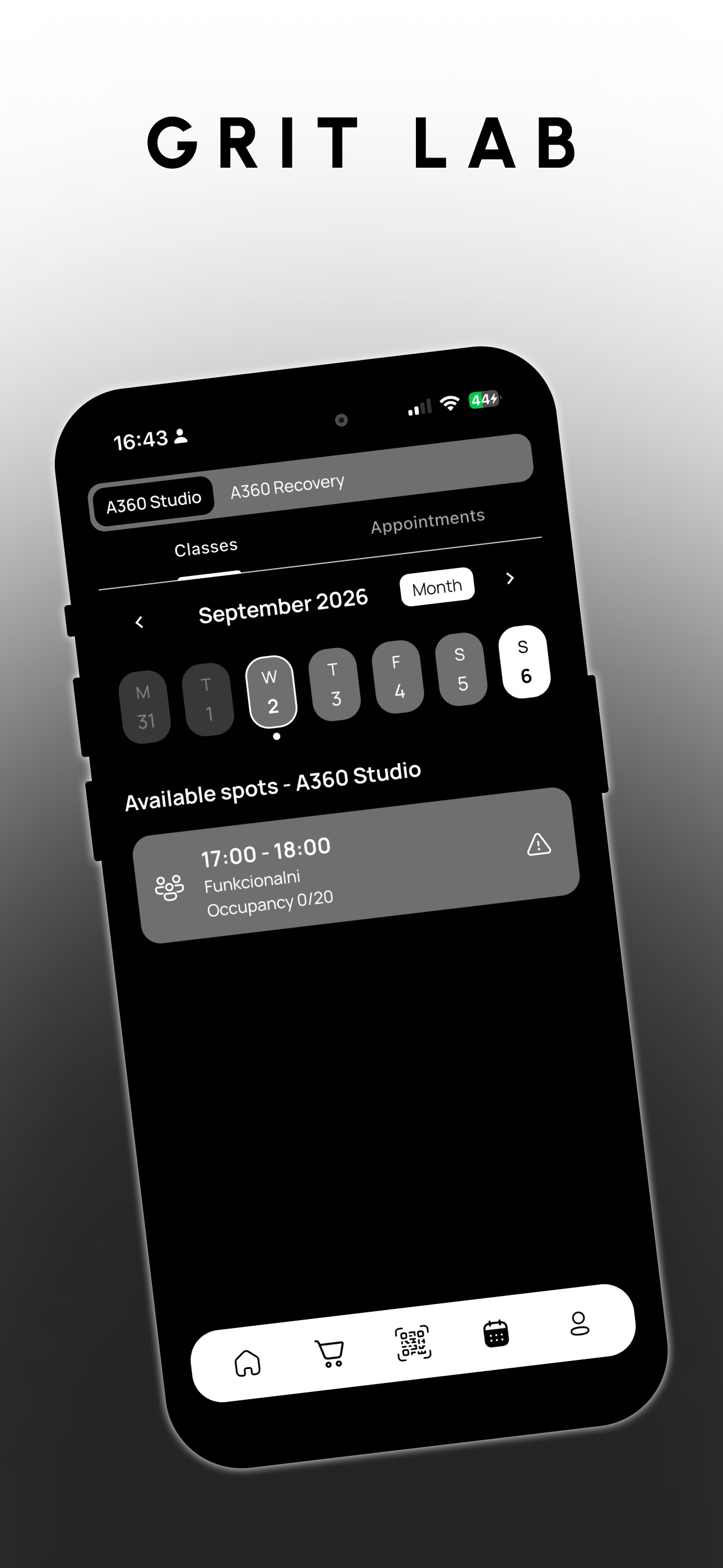 Screenshot 3 of GRIT lab