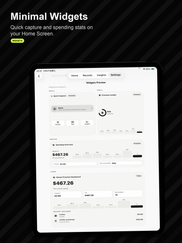 SaySpend: AI Expense Tracker iPad screenshot