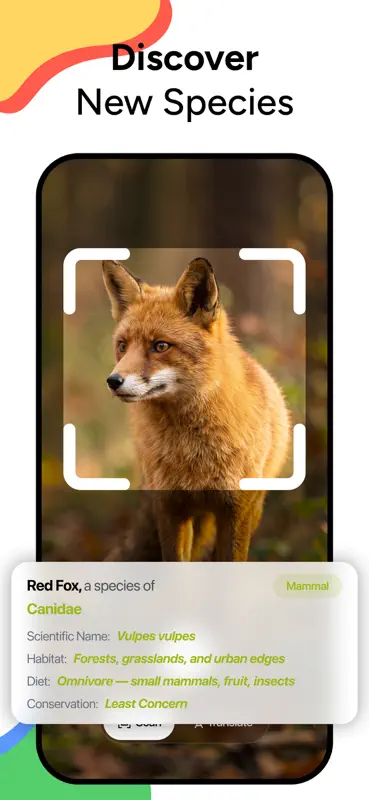 Lens AI & Reverse Image Search screenshot 6 of 7