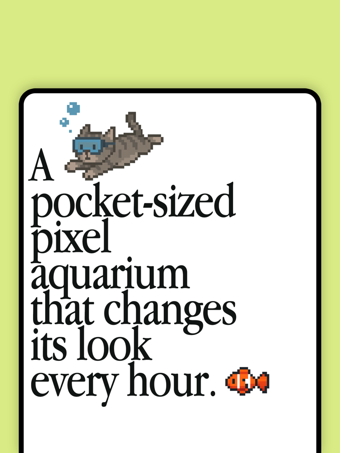 bigsmall - Fish. Cat. Widget.
