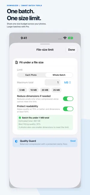 Downsizer: Photo & Video screenshot 3