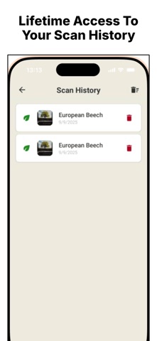 Tree Identifier: Tree Details Screenshot 3 of 3