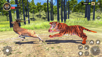 Tiger Family Hunt Simulator Screenshot