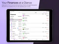 IFinance 5 iPad image 1