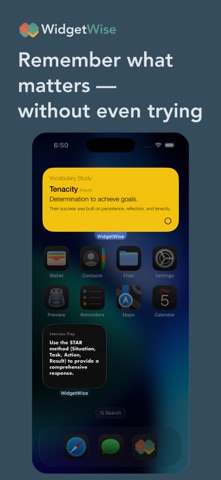 WidgetWise screenshot