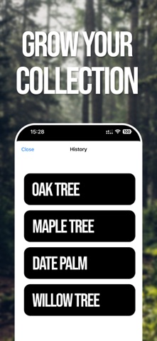 Tree ID: AI Forest Scanner Screenshot 4 of 4