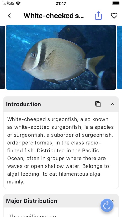 Wild Guide - Plant & Animal ID screenshot-3