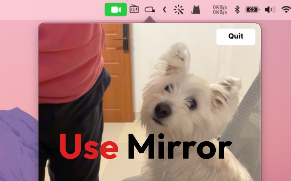 #1. Mirror:Face Camera (macOS) بواسطة: 奕琦 冯