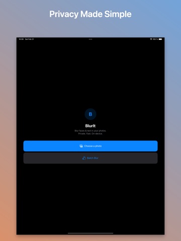 BlurIt: Face Blur & Redact