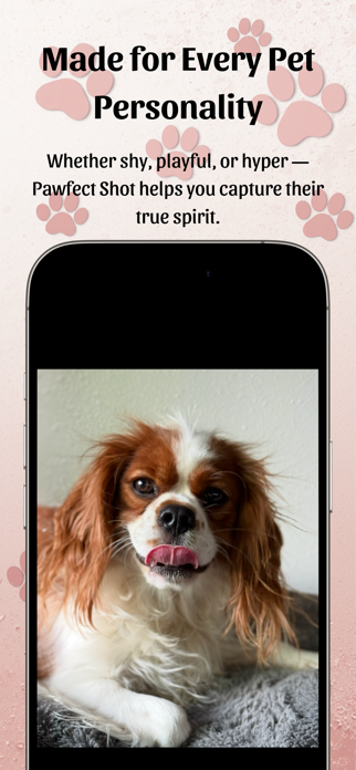 Pawfect Shot Screenshot 6 of 8