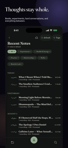 Sanctum: The Voice Journal Screenshot 6 of 10