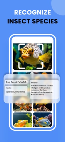 Image Recognition And Searcher Screenshot 2 of 4